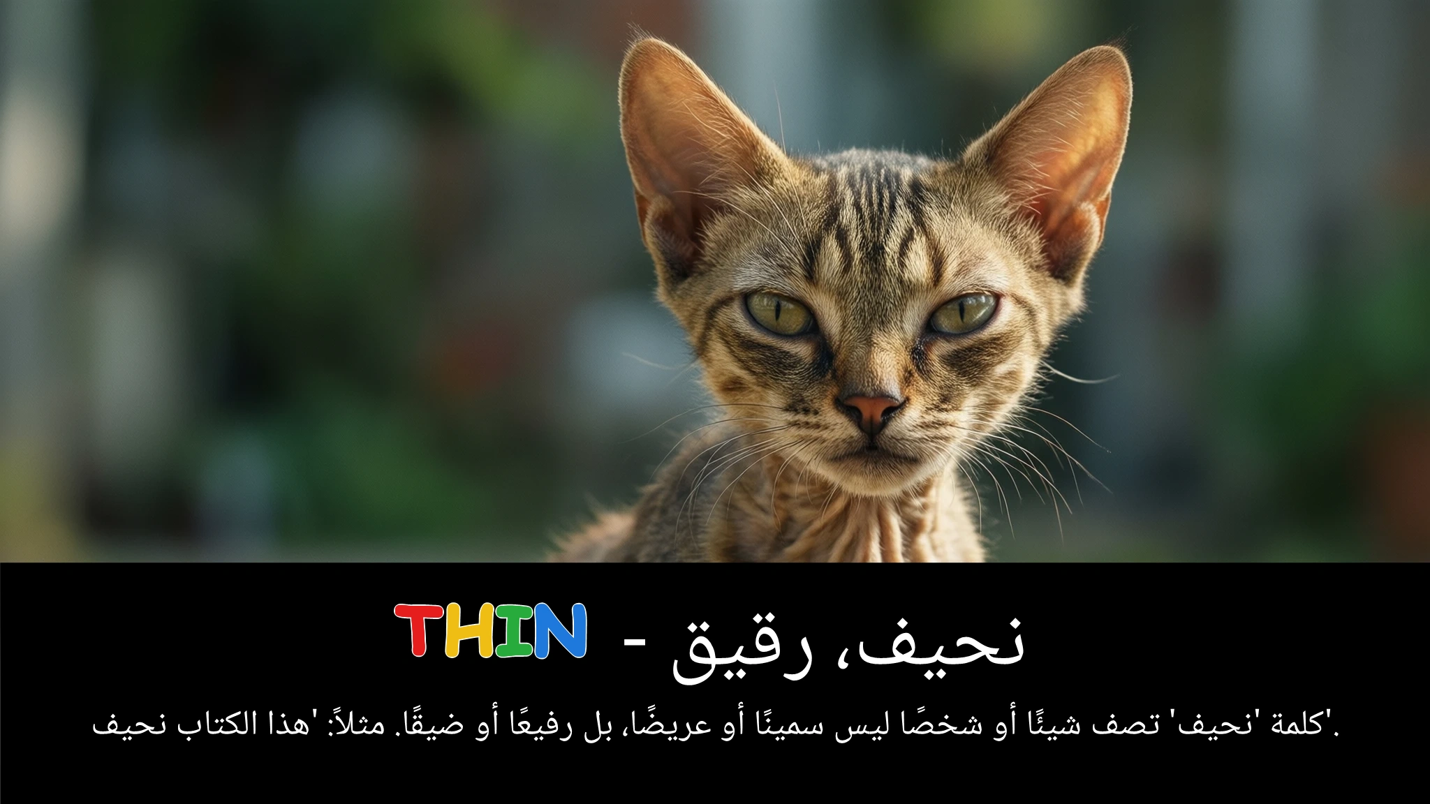 Arabic Illustration for thin